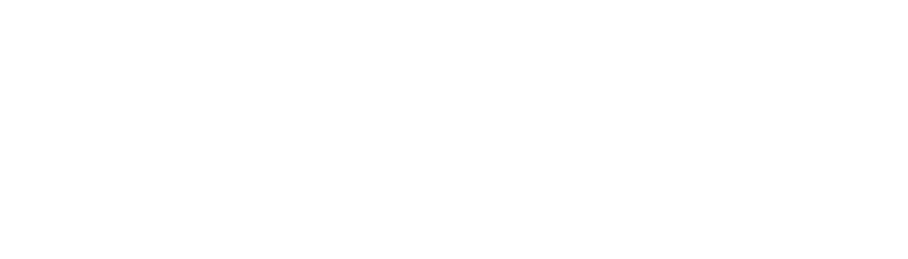 Elevated Electric Logo white